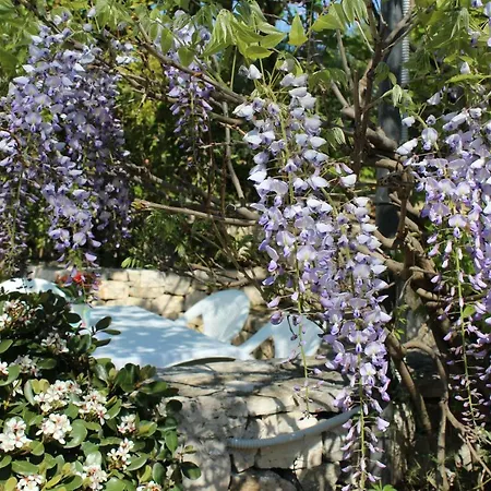 Wepuglia - La Casa Sulla Roccia Vila